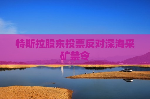 特斯拉股东投票反对深海采矿禁令