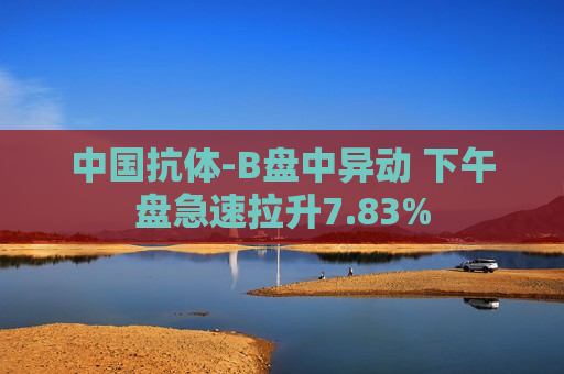 中国抗体-B盘中异动 下午盘急速拉升7.83%  第1张
