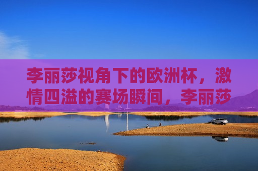 李丽莎视角下的欧洲杯， *** 四溢的赛场瞬间，李丽莎眼中的欧洲杯， *** 四溢的赛场风采，李丽莎眼中的欧洲杯， *** 四溢的赛场风采