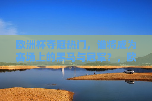 欧洲杯夺冠热门，谁将成为赛场上的黑马与冠军？，欧洲杯夺冠热门揭秘，黑马与冠军之争即将上演，欧洲杯夺冠热门揭秘，黑马与冠军之争即将上演  第1张