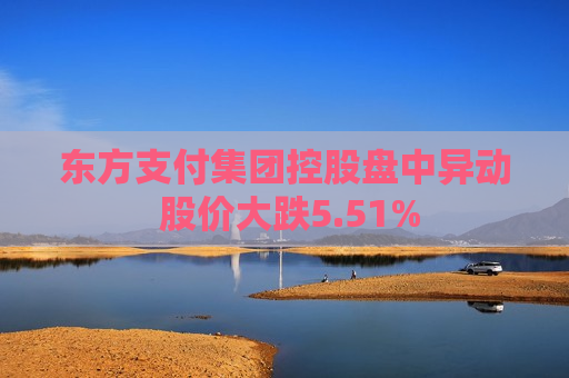 东方支付集团控股盘中异动 股价大跌5.51%