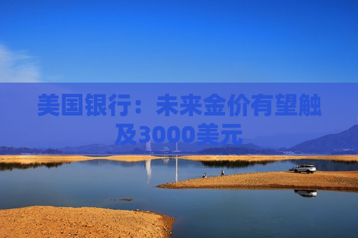 美国银行：未来金价有望触及3000美元  第1张