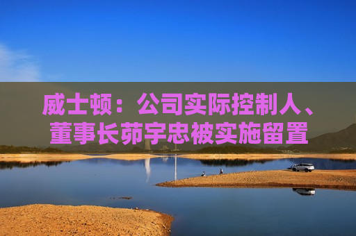 威士顿：公司实际控制人、董事长茆宇忠被实施留置