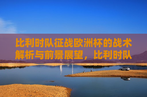比利时队征战欧洲杯的战术解析与前景展望，比利时队征战欧洲杯，战术解析与未来展望，比利时队征战欧洲杯，战术解析与未来展望