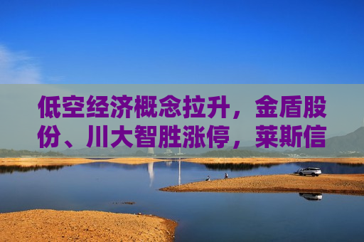 低空经济概念拉升，金盾股份、川大智胜涨停，莱斯信息等大涨  第1张