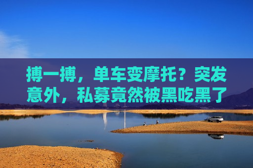 搏一搏，单车变摩托？突发意外，私募竟然被黑吃黑了  第1张