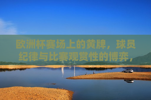 欧洲杯赛场上的黄牌，球员纪律与比赛观赏性的博弈，欧洲杯赛场上的黄牌风波，球员纪律与比赛观赏性的较量，欧洲杯赛场上的黄牌风波，球员纪律与比赛观赏性的博弈