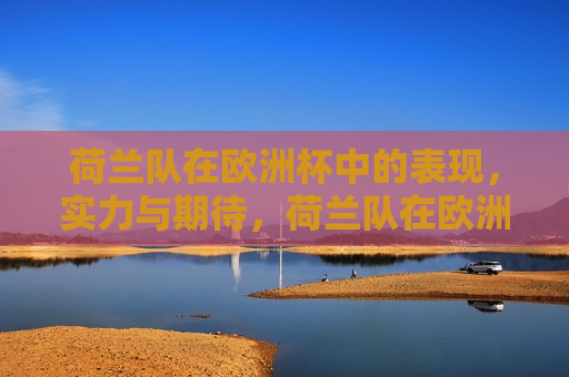 荷兰队在欧洲杯中的表现，实力与期待，荷兰队在欧洲杯中的表现，实力与期待之间的较量，荷兰队在欧洲杯，实力与期待的对决