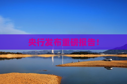 央行发布重磅报告！