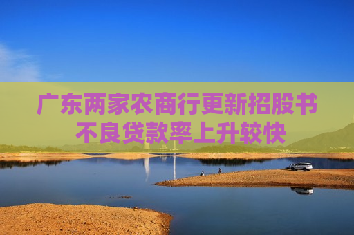 广东两家农商行更新招股书 不良贷款率上升较快  第1张