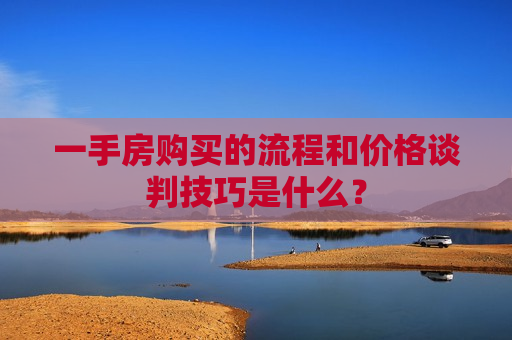一手房购买的流程和价格谈判技巧是什么？