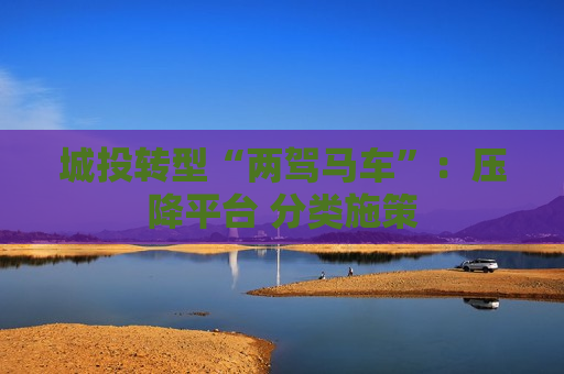 城投转型“两驾马车”：压降平台 分类施策  第1张
