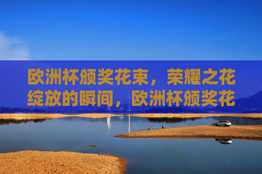 欧洲杯颁奖花束，荣耀之花绽放的瞬间，欧洲杯颁奖花束，荣耀之花瞬间绽放，欧洲杯颁奖仪式，荣耀之花瞬间绽放  第1张