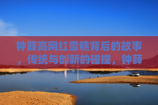 钟薛高网红雪糕背后的故事，传统与创新的碰撞，钟薛高网红雪糕，传统与创新交融的传奇，钟薛高网红雪糕，传统与创新交融的传奇之旅