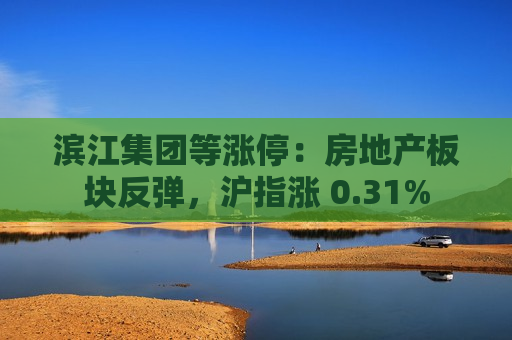 滨江集团等涨停：房地产板块反弹，沪指涨 0.31%