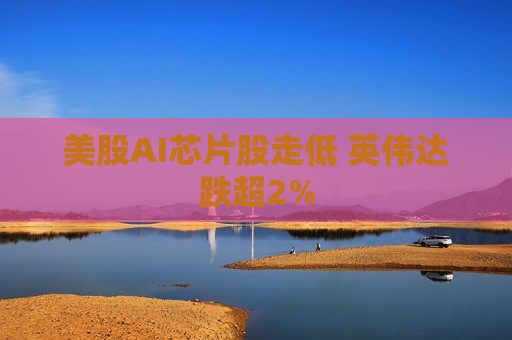美股AI芯片股走低 英伟达跌超2%  第1张