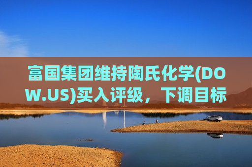 富国集团维持陶氏化学(DOW.US)买入评级，下调目标价至65美元  第1张