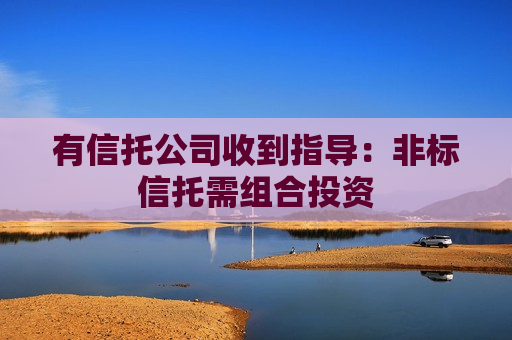 有信托公司收到指导：非标信托需组合投资  第1张