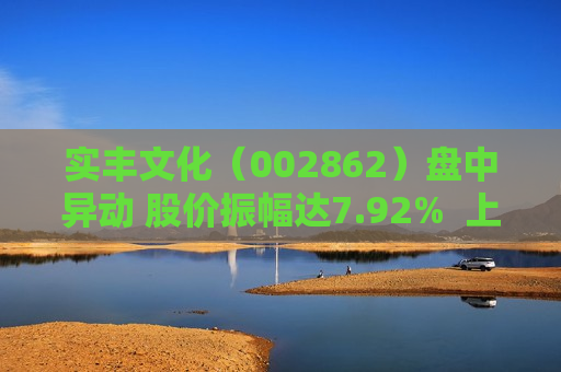实丰文化（002862）盘中异动 股价振幅达7.92%  上涨7.33%（07-02） 第1张
