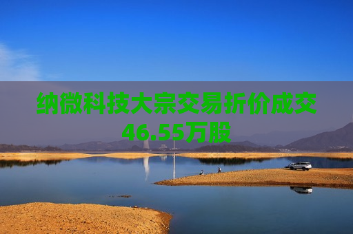 纳微科技大宗交易折价成交46.55万股  第1张