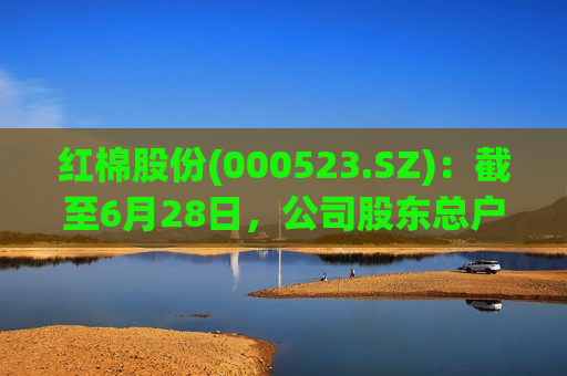 红棉股份(000523.SZ)：截至6月28日，公司股东总户数是35402户  第1张