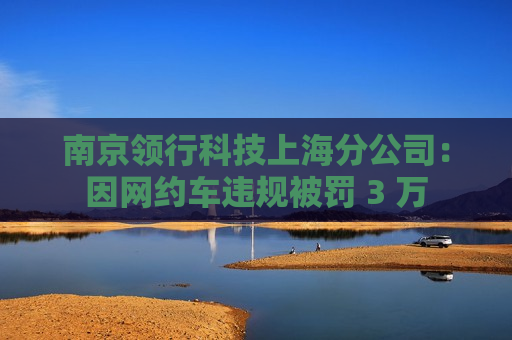 南京领行科技上海分公司：因网约车违规被罚 3 万
