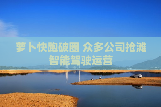 萝卜快跑破圈 众多公司抢滩智能驾驶运营
