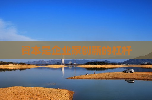 资本是企业家创新的杠杆  第1张