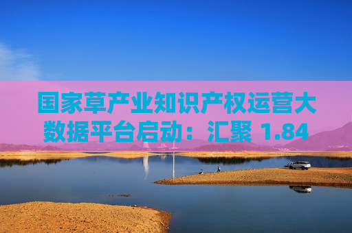 国家草产业知识产权运营大数据平台启动：汇聚 1.84 亿条专利数据  第1张