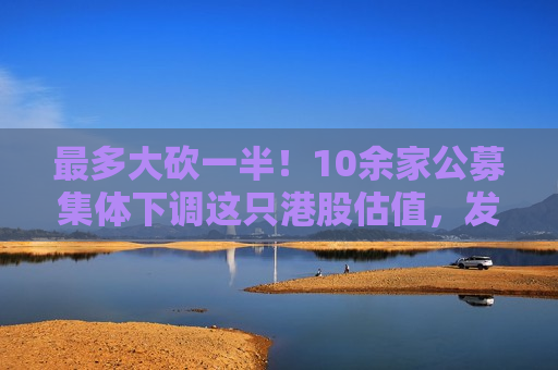 最多大砍一半！10余家公募集体下调这只港股估值，发生了什么？  第1张