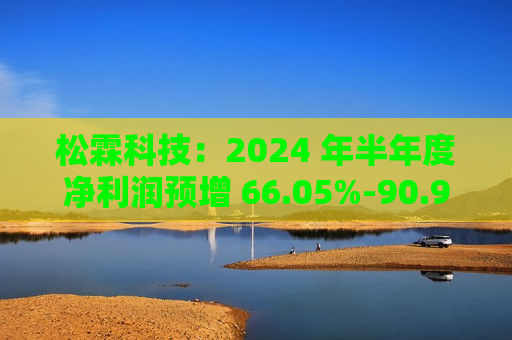 松霖科技：2024 年半年度净利润预增 66.05%-90.96%
