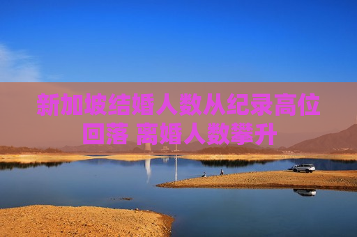 新加坡结婚人数从纪录高位回落 离婚人数攀升