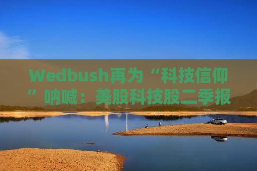 Wedbush再为“科技信仰”呐喊：美股科技股二季报强劲还将上涨15%！  第1张