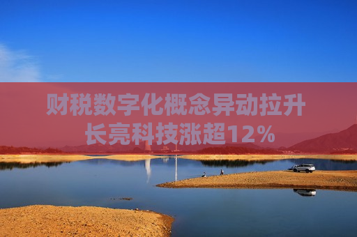 财税数字化概念异动拉升 长亮科技涨超12%