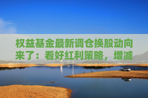 权益基金最新调仓换股动向来了：看好红利策略，增减了这些个股  第1张