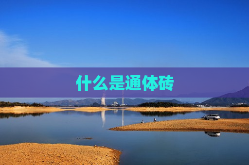 什么是通体砖