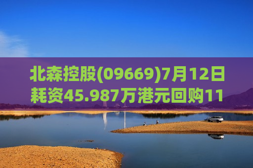 北森控股(09669)7月12日耗资45.987万港元回购11.04万股  第1张