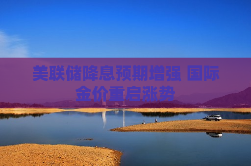 美联储降息预期增强 国际金价重启涨势