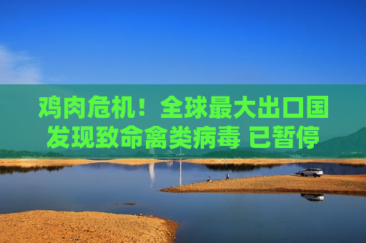 鸡肉危机！全球更大出口国发现致命禽类病毒 已暂停对中国等多国出口