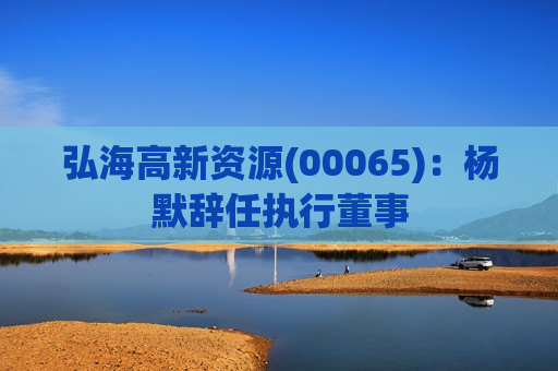 弘海高新资源(00065)：杨默辞任执行董事  第1张