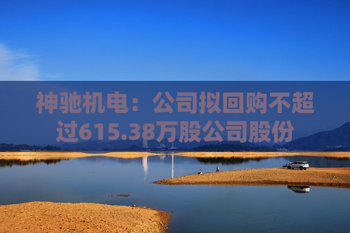 神驰机电：公司拟回购不超过615.38万股公司股份