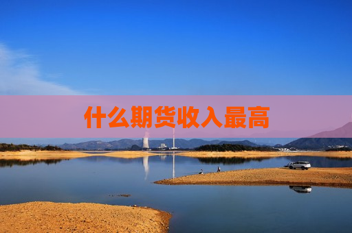 什么期货收入更高