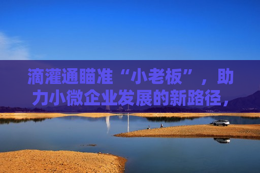 滴灌通瞄准“小老板”，助力小微企业发展的新路径，滴灌通助力小微企业发展的新路径——聚焦“小老板”群体