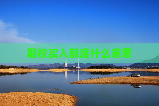 期权买入额度什么意思