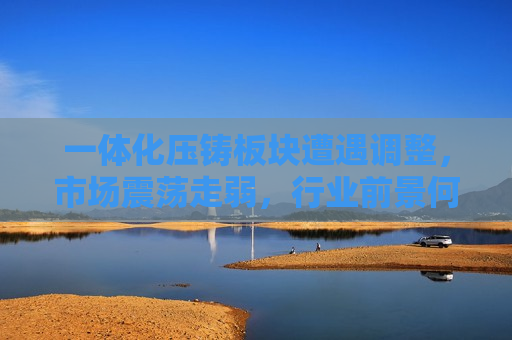 一体化压铸板块遭遇调整，市场震荡走弱，行业前景何去何从？，一体化压铸板块遭遇调整，行业前景面临挑战，一体化压铸板块遭遇调整，行业前景面临挑战