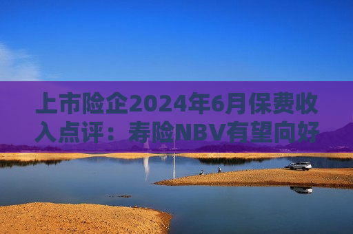上市险企2024年6月保费收入点评：寿险NBV有望向好 财险保费稳健增长
