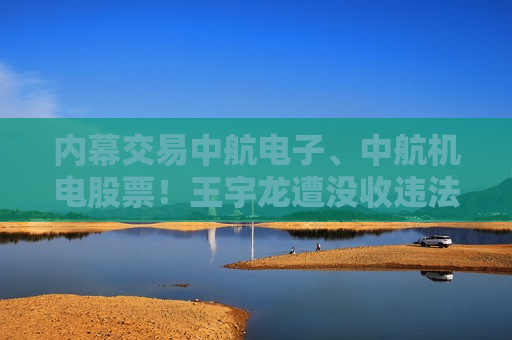 内幕交易中航电子、中航机电股票！王宇龙遭没收违法所得25.23万元 共被罚200万元  第1张