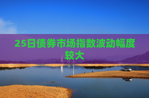 25日债券市场指数波动幅度较大