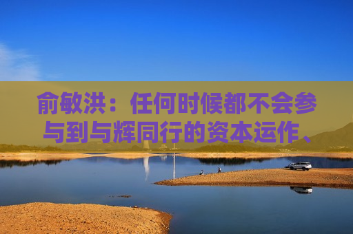 俞敏洪：任何时候都不会参与到与辉同行的资本运作、投资发展中去  第1张