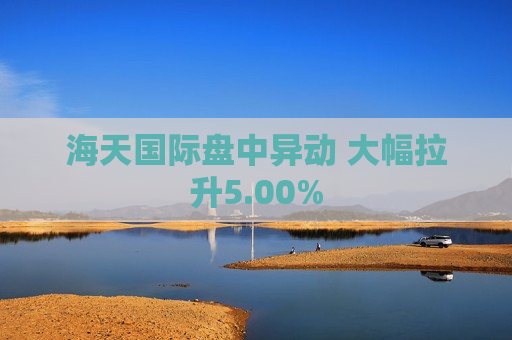 海天国际盘中异动 大幅拉升5.00%  第1张